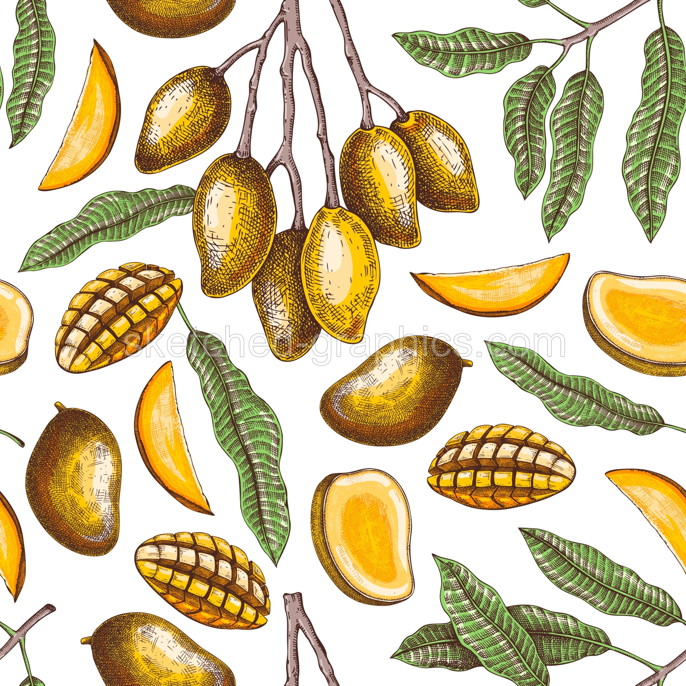 Ripe mango background. Tropical fruit seamless pattern in color. Hand drawn vector illustration. Exotic plant with fruit, leaves, branches sketches. Summer food design, juice packaging, wrapping paper Illustration